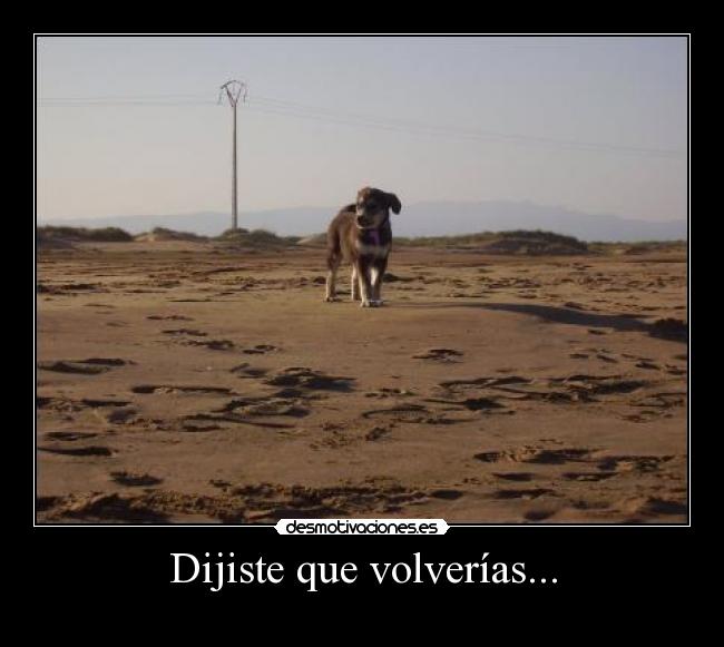 Dijiste que volverías... - 