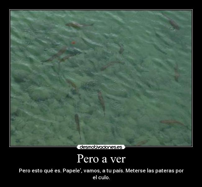 Pero a ver - Pero esto qué es. Papele, vamos, a tu país. Meterse las pateras por el culo.