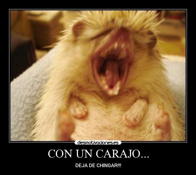 CON UN CARAJO... - DEJA DE CHINGAR!!!