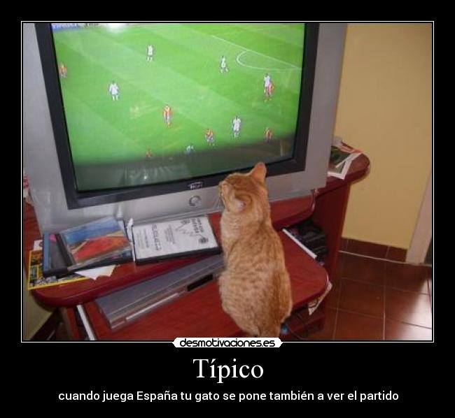 Típico - 
