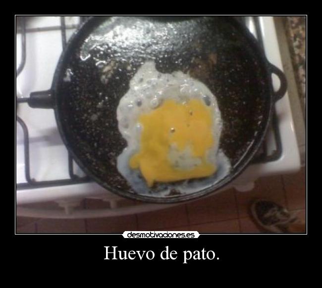 Huevo de pato. - 