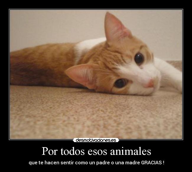 Por todos esos animales - 