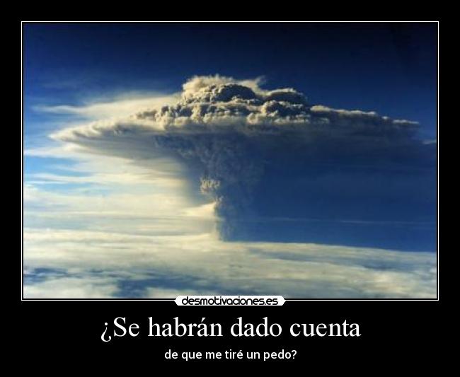 ¿Se habrán dado cuenta - 