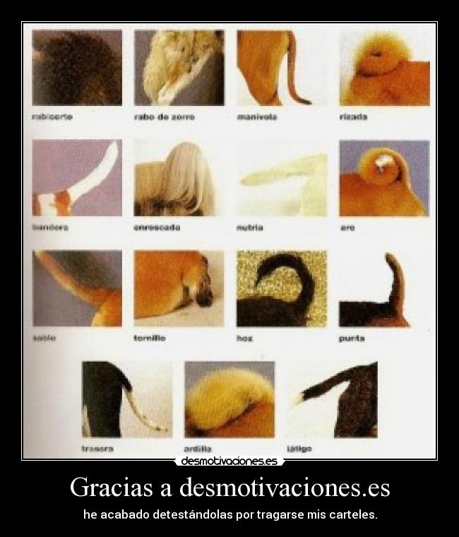 Gracias a desmotivaciones.es - he acabado detestándolas por tragarse mis carteles.