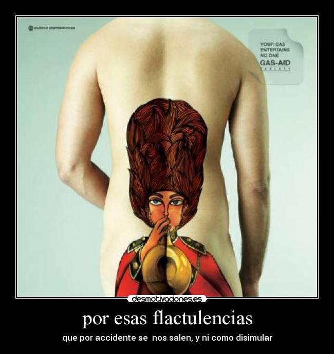 carteles pedos desmotivaciones