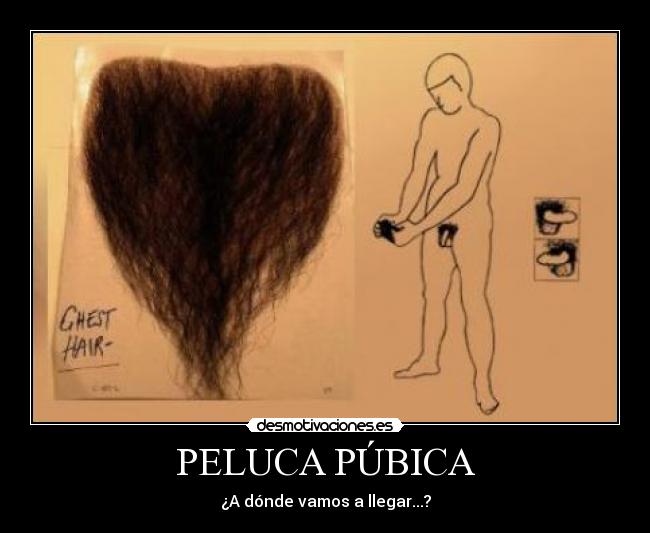 carteles peluca pubica cono sexo pene vello pubico pelo pelos vagina desmotivaciones