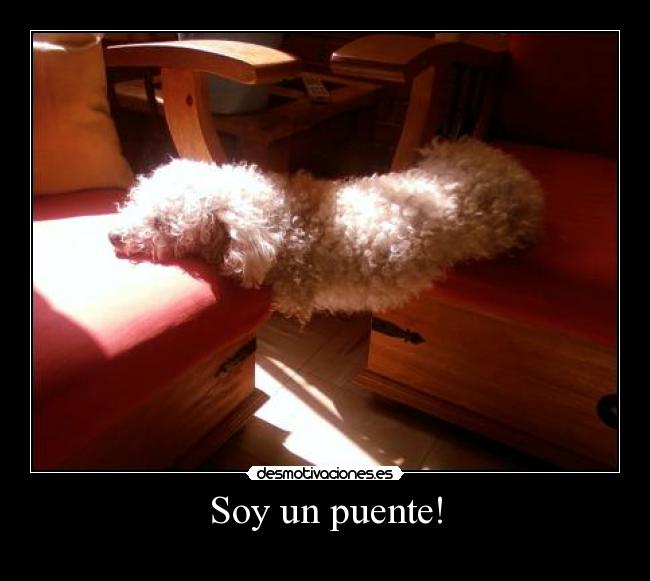 Soy un puente! - 