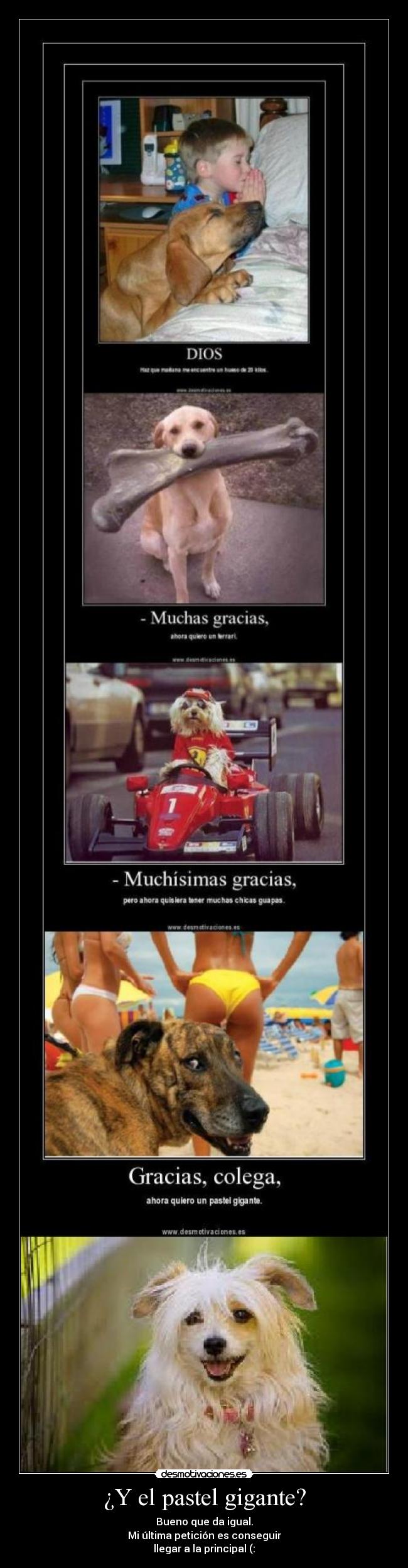 ¿Y el pastel gigante? - Bueno que da igual.
Mi última petición es conseguir
llegar a la principal (: