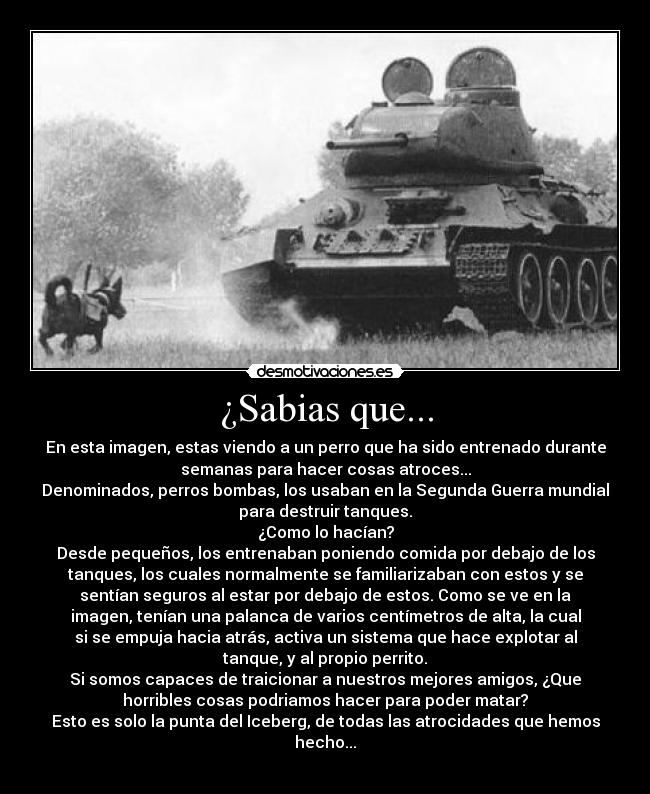 ¿Sabias que... -