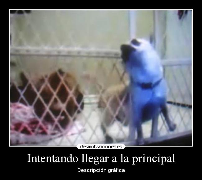 Intentando llegar a la principal - 