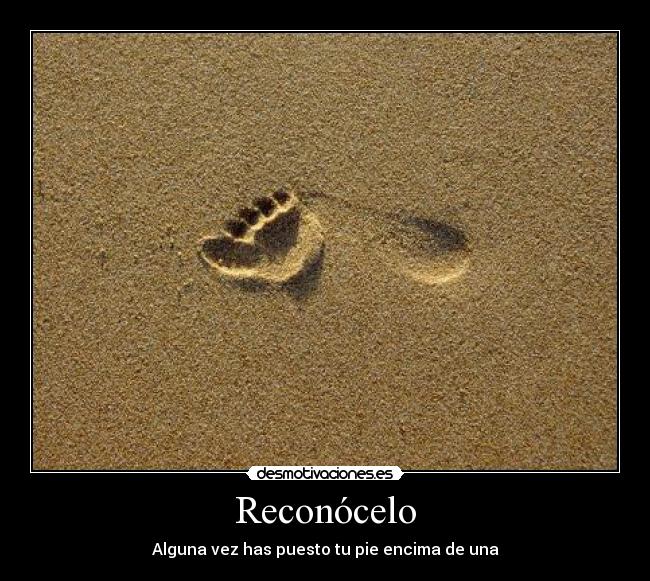 Reconócelo -