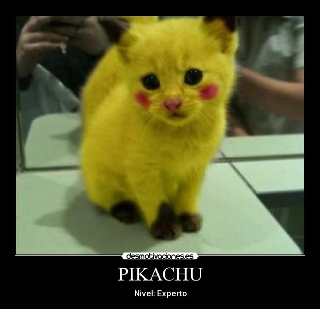 PIKACHU - Nivel: Experto