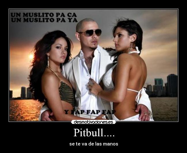 Pitbull.... - se te va de las manos