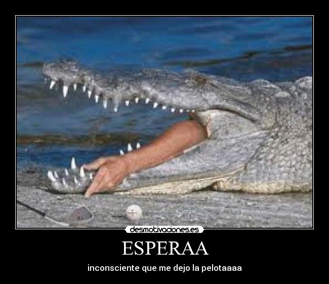  ESPERAA  - inconsciente que me dejo la pelotaaaa