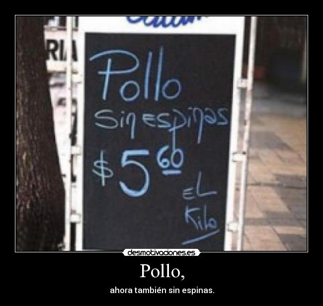 Pollo, - 