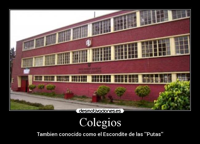 Colegios - 