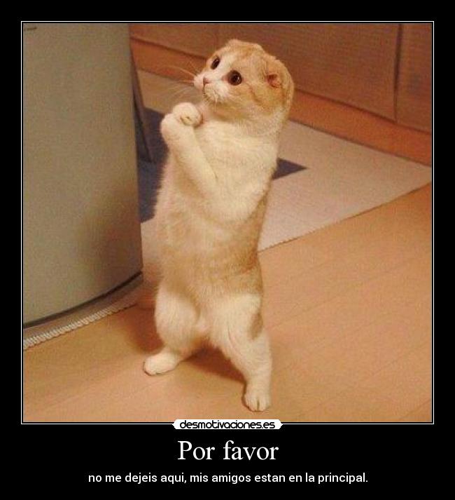 Por favor - 