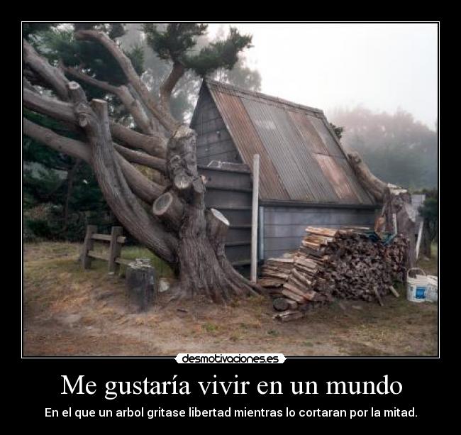 Me gustaría vivir en un mundo -