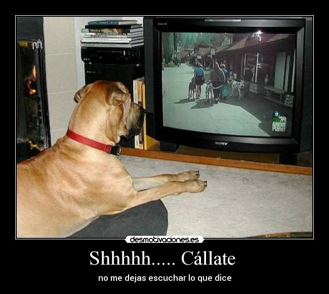 carteles shhhhhhhh desmotivaciones