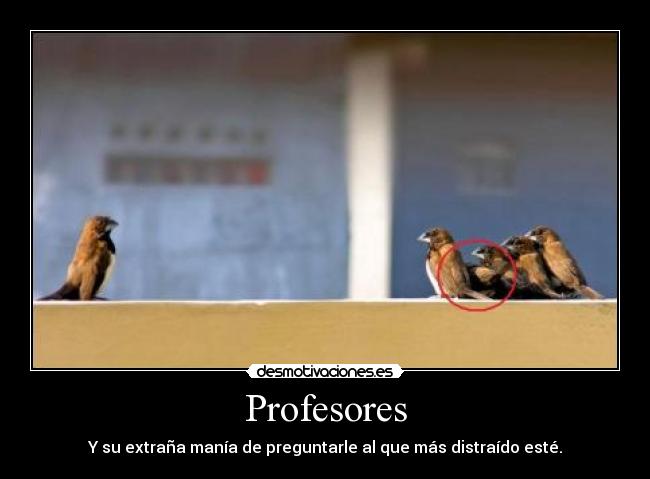 Profesores - Y su extraña manía de preguntarle al que más distraído esté.