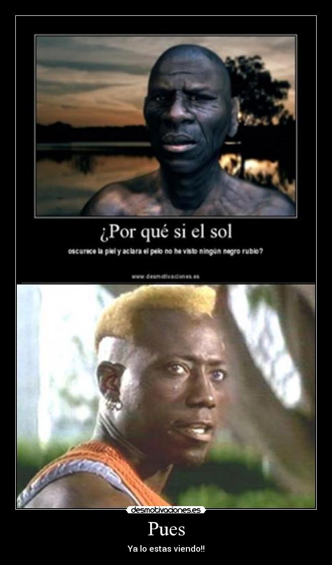 carteles wesleysnipes desmotivaciones