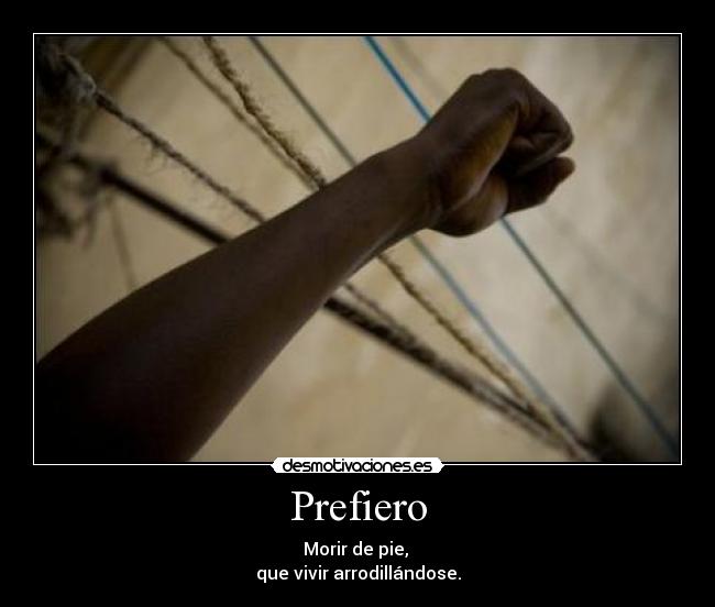 Prefiero - 