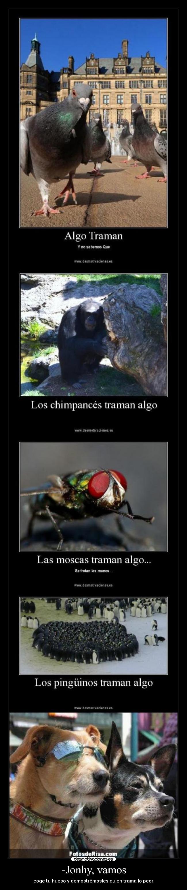 -Jonhy, vamos - coge tu hueso y demostrémosles quien trama lo peor.