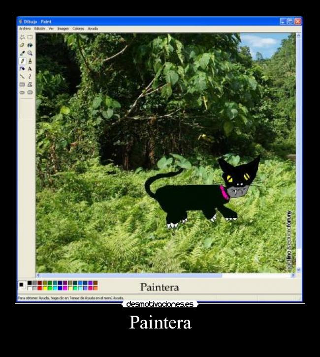 Paintera - 