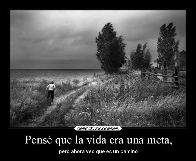 carteles vida camino vida desmotivaciones