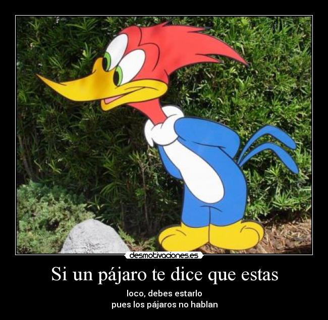Si un pájaro te dice que estas -