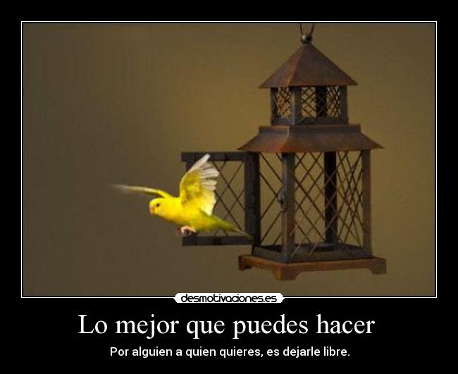 Lo mejor que puedes hacer -