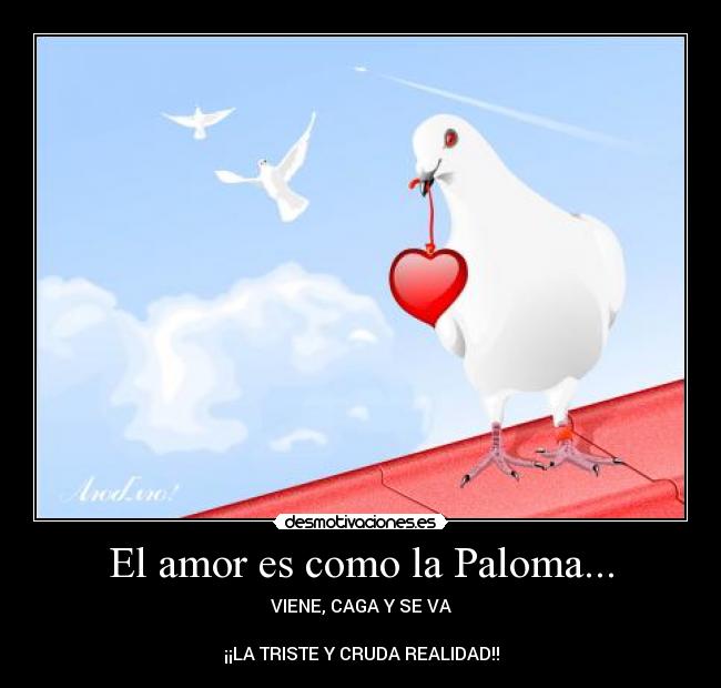 El amor es como la Paloma... - VIENE, CAGA Y SE VA

¡¡LA TRISTE Y CRUDA REALIDAD!!