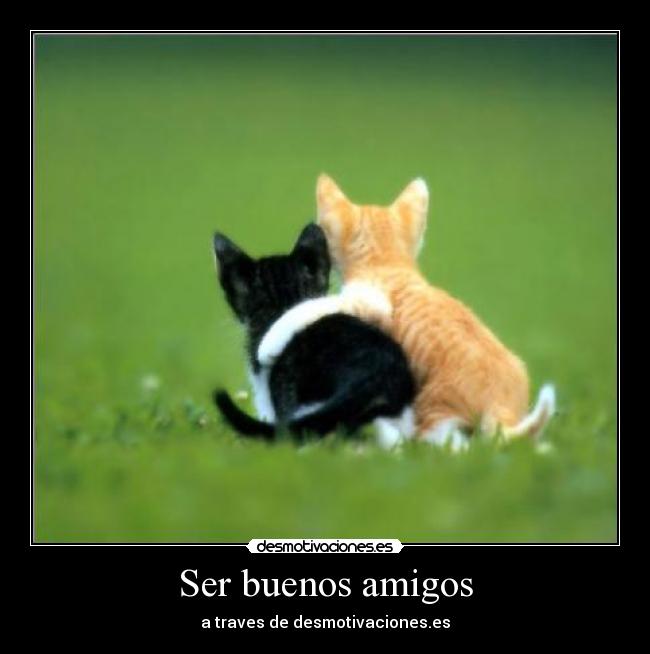 Ser buenos amigos -