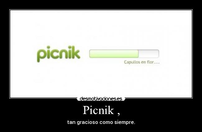 Picnik , -
