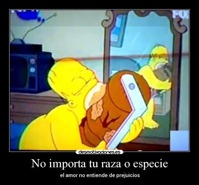 No importa tu raza o especie - el amor no entiende de prejuicios