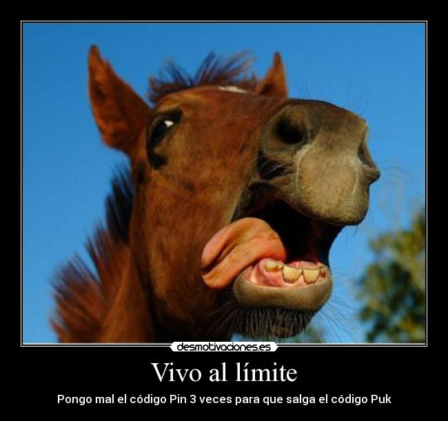 Vivo al límite - 