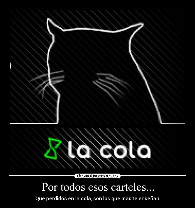 Por todos esos carteles... -