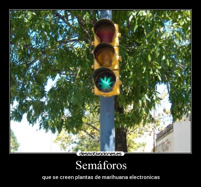 Semáforos - 