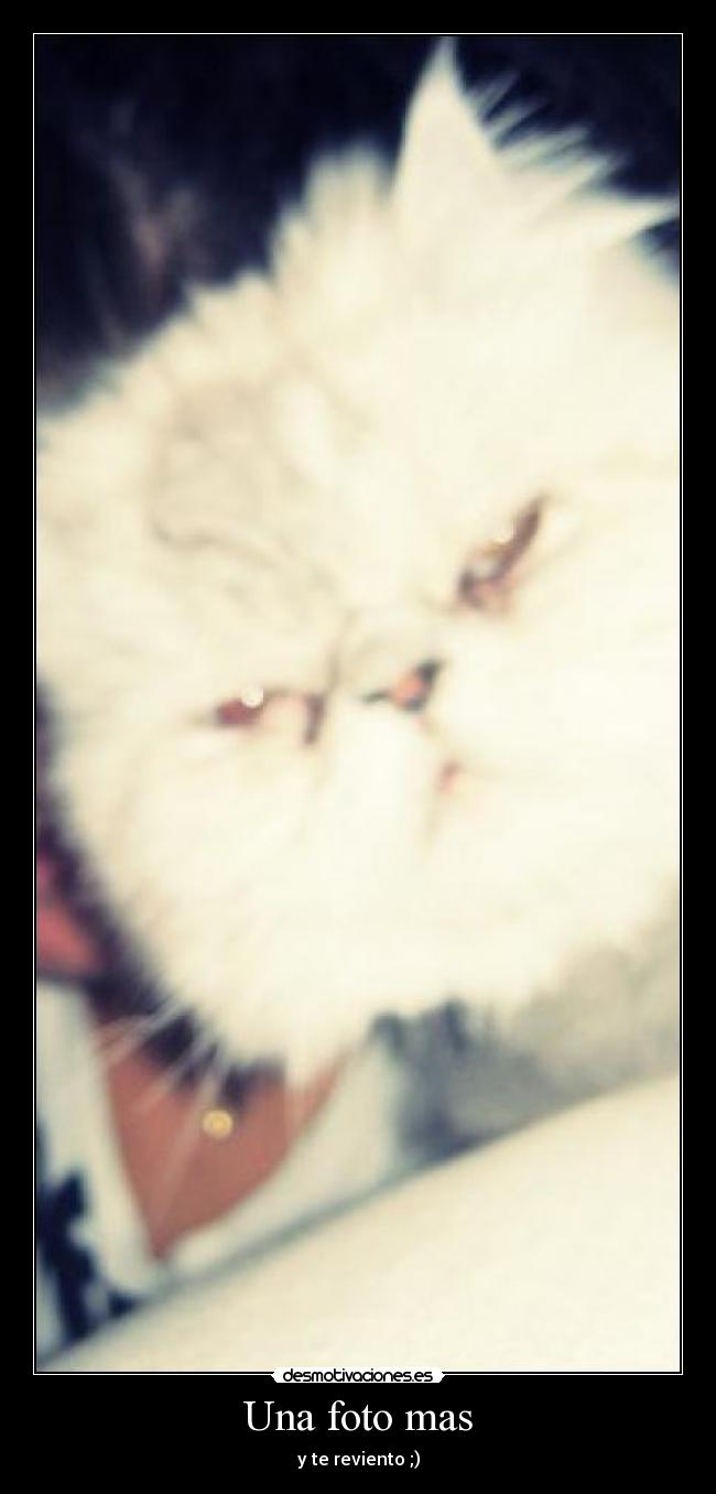 Una foto mas - y te reviento ;)