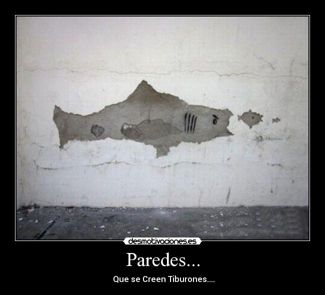 Paredes... - 