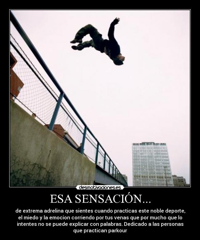 ESA SENSACIÓN... - de extrema adrelina que sientes cuando practicas este noble deporte,
el miedo y la emocion corriendo por tus venas que por mucho que lo
intentes no se puede explicar con palabras. Dedicado a las personas
que practican parkour