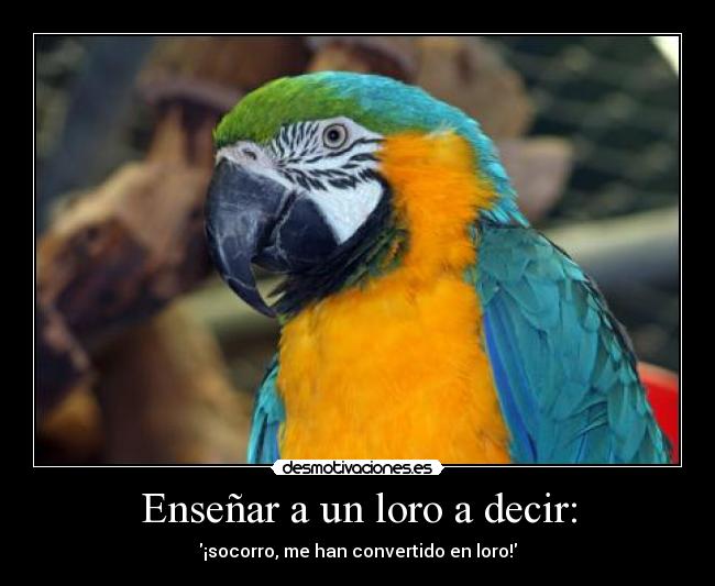 Enseñar a un loro a decir: - ¡socorro, me han convertido en loro!