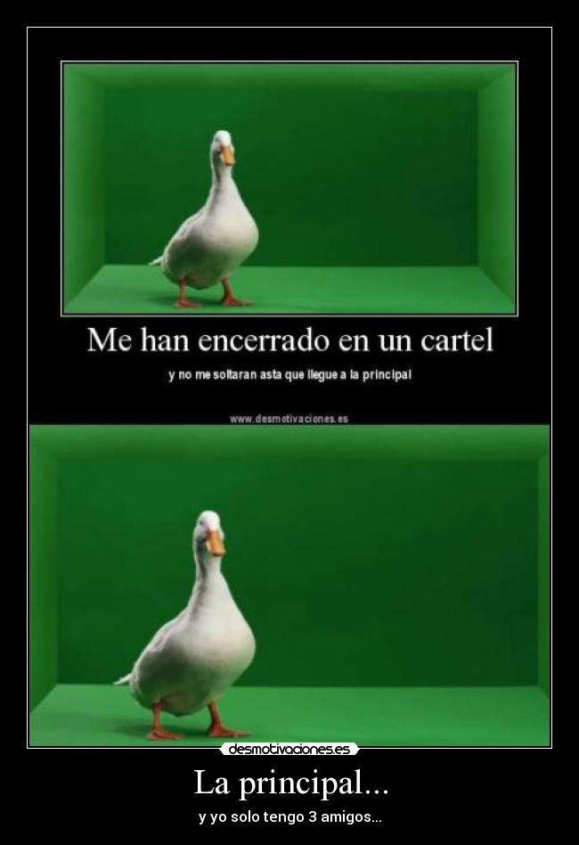 La principal... - y yo solo tengo 3 amigos...