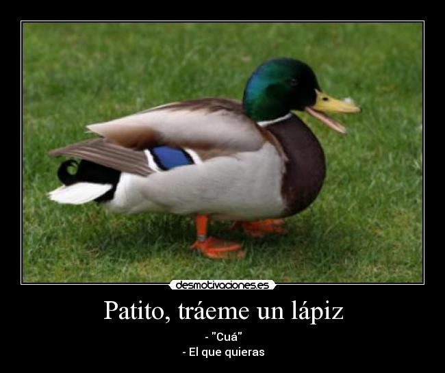 Patito, tráeme un lápiz -