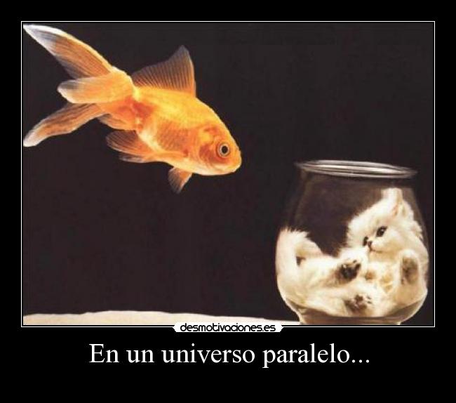 En un universo paralelo... - 