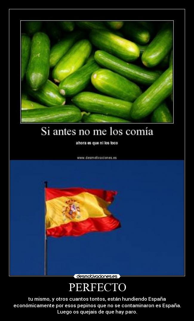 PERFECTO -