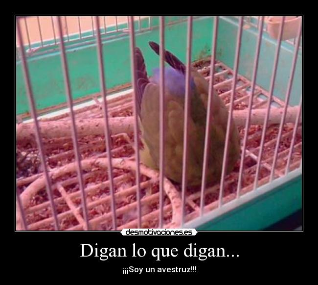 Digan lo que digan... - 