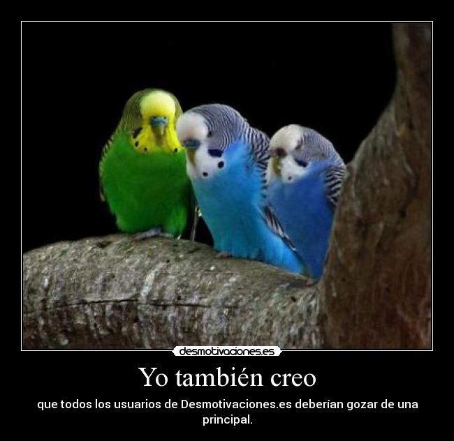 Yo también creo - 