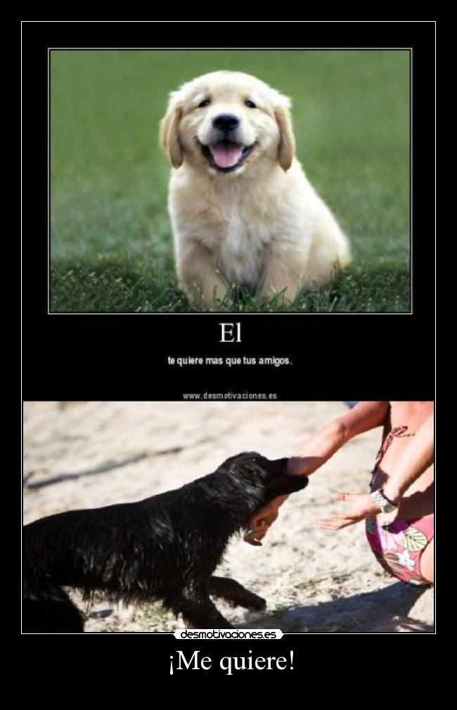 ¡Me quiere! - ♥