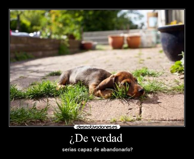 ¿De verdad -